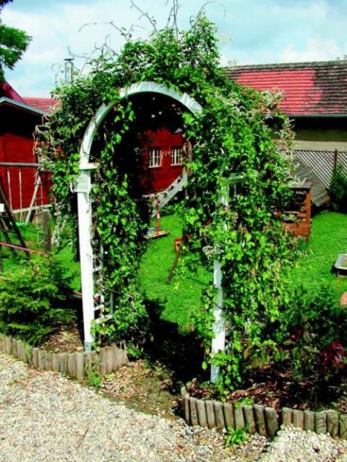 Перголы арки