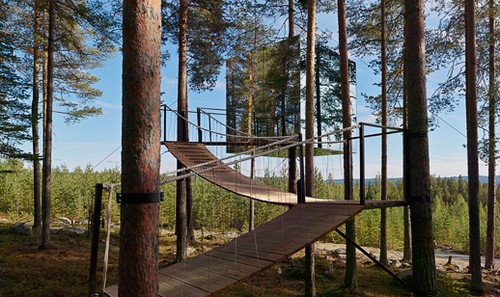 TreeHotel отель на деревьях