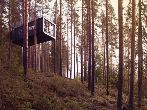 Отель на деревьях