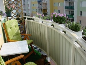 Балконные цветы - какие цветы посадить на балконе | Дом Мечты