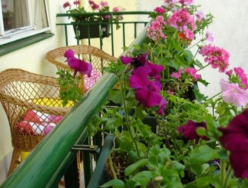 Цветы на балконе фото