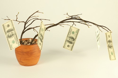 Денежное дерево для привлечения денег в дом