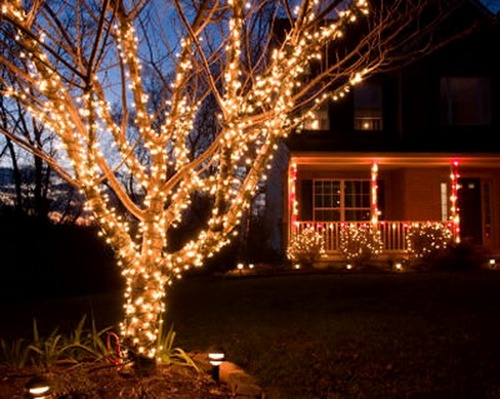 Новогоднее украшение дерева во дворе электрическими гирляндами