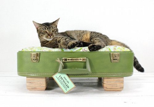 Кровать-чемодан для кошки фото