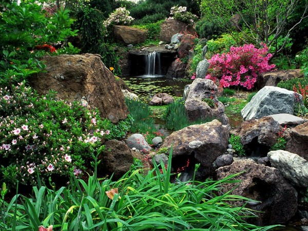 Красивоцветущие кустарники для сада фото