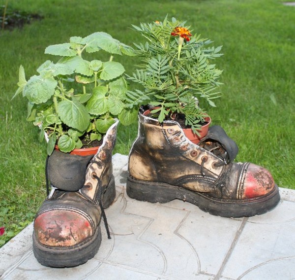 Выращивание цветов в старых ботинках