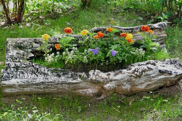 клумба из бревна своими руками