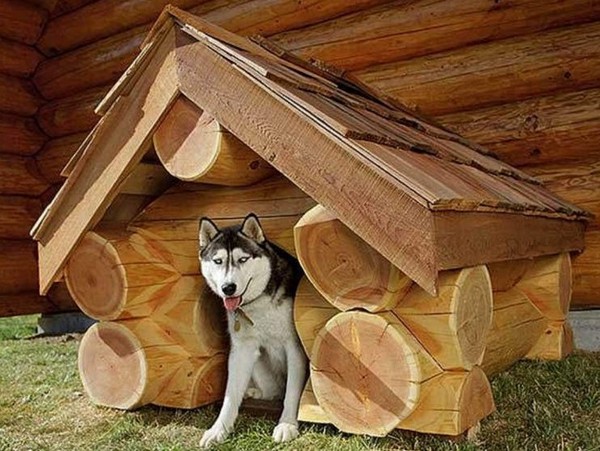 Собачья будка из сруба дерева фото
