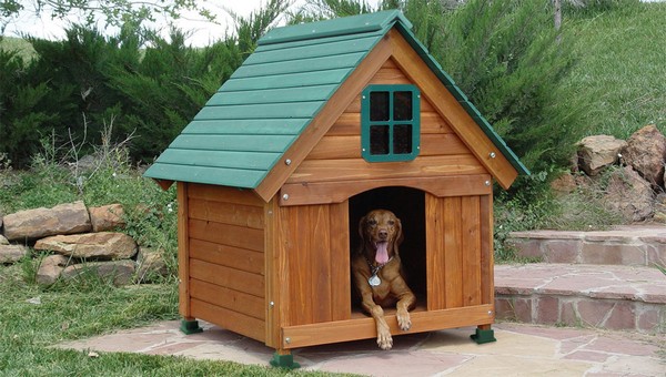Домик-будка для собаки фото
