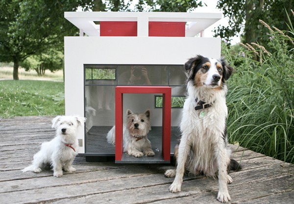 Оригинальные будки для собак фото