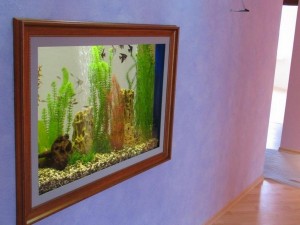 Настенный аквариум: разновидности, особенности установки | Дом Мечты