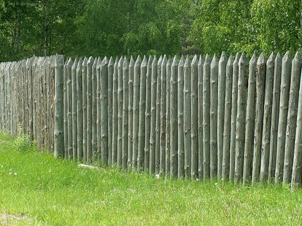 частокол забор из вертикально поставленных бревен